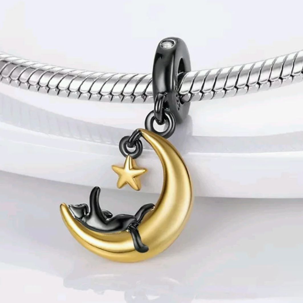 Cat On Moon Charm