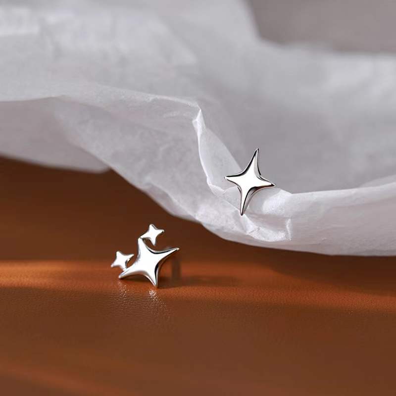 Wish Upon A Star Earrings - Charmsey